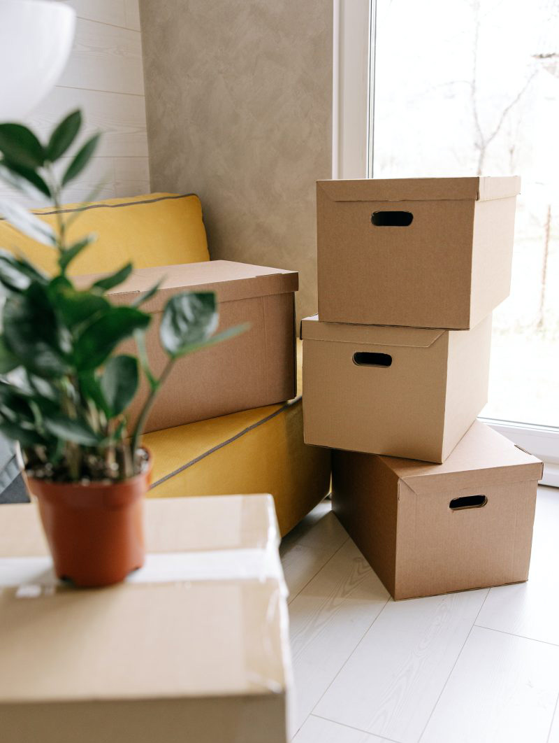 pexels-ivan-samkov-8962868-cropped